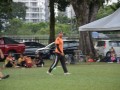 Tn dsc 2295